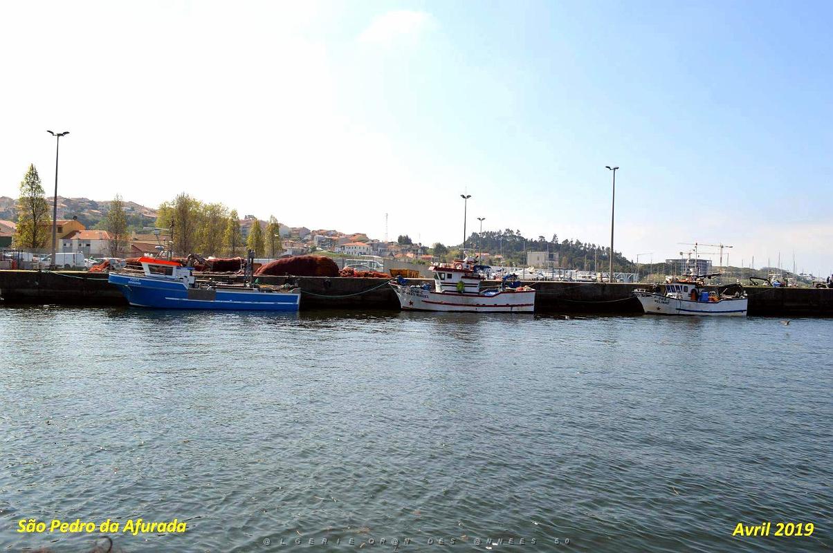 Sao Pedro da Afurada 019.jpg